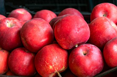 Marketteki bir kutuda büyük kırmızı elmalar