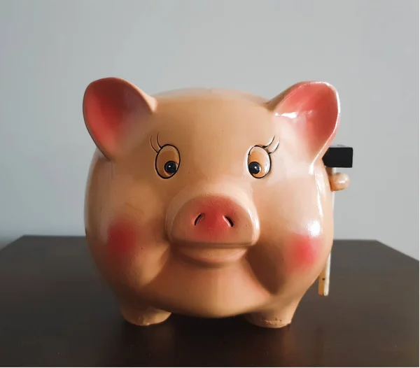 お金と貯金箱ピンク — ストック写真