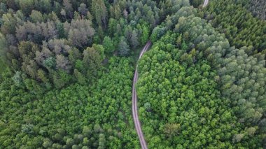 Ağaçların arasındaki yol