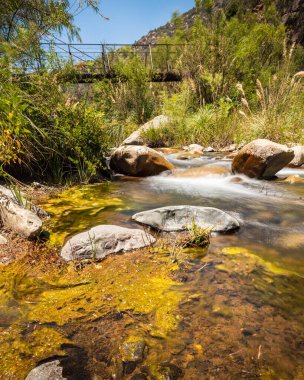 Panormica del Parque Nacional Ro Clarillo con insectos y el puente que conecta el Parque con el Sendero Aliwen Mahuida
