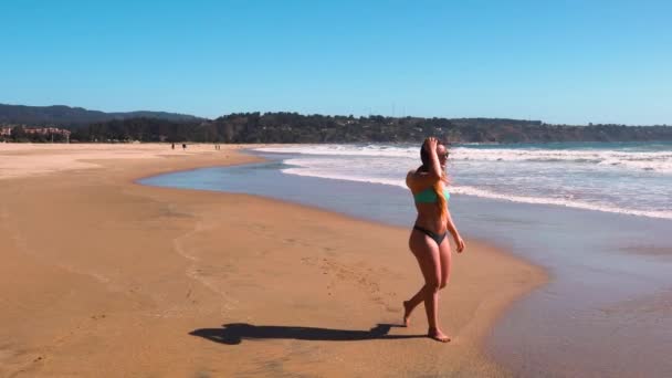 Прекрасна Дівчина Брюнетки Яка Ходить Пляжі Квінтай Вальпараїсо Чілі Сонячний — стокове відео