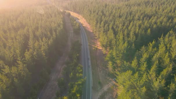 Повітряний Вид Дрона Над Лісом Бухти Квінтай Дорога Пляжу Розташована — стокове відео