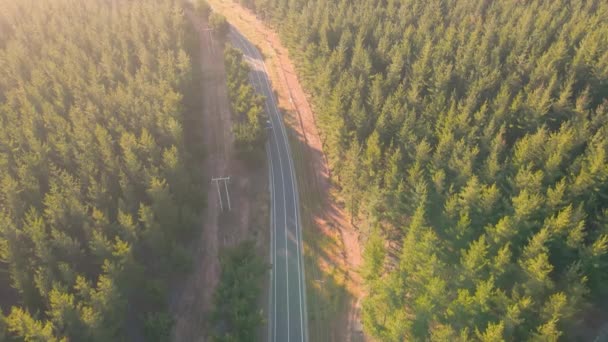 Flygfoto Från Drönaren Över Quintay Bay Forest Vägen Till Stranden — Stockvideo