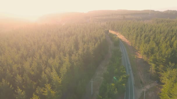 Flygfoto Från Drönaren Över Quintay Bay Forest Vägen Till Stranden — Stockvideo