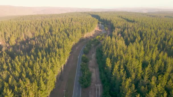 Vista Aérea Desde Dron Sobre Bosque Bahía Quintay Camino Playa — Vídeo de stock