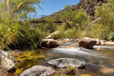 Güneşli bir günde Rio Clarillo Ulusal Parkı 'nın nehir ve bitkileri