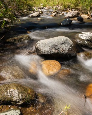 Güneşli bir günde Rio Clarillo Ulusal Parkı 'nın nehir ve bitkileri