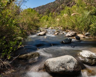 Güneşli bir günde Rio Clarillo Ulusal Parkı 'nın nehir ve bitkileri