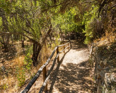 Güneşli bir günde Santiago de Şili 'deki Rio Clarillo Ulusal Parkı' nda ağaçlarla işaretli bir patika..