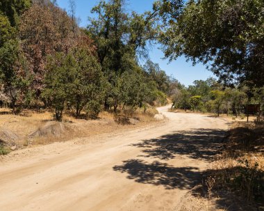 Güneşli bir günde Santiago de Chile 'deki Rio Clarillo Ulusal Parkı' nın kumlu yolunun panoramik manzarası..
