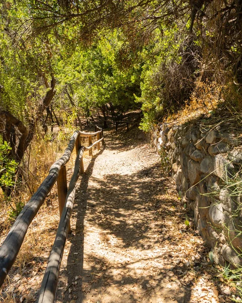 Güneşli bir günde Santiago de Şili 'deki Rio Clarillo Ulusal Parkı' nda ağaçlarla işaretli bir patika..