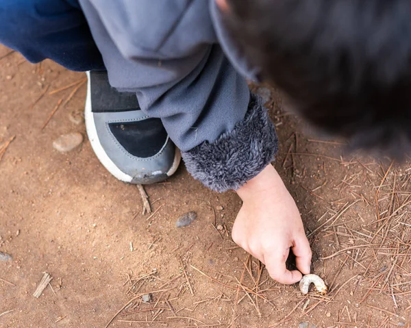 Solucanı kaldıran bir çocuğun en iyi görüntüsü.