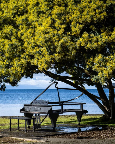 Meyve ağacının sarı çiçekli temsili piyanosunun dikey görünümü