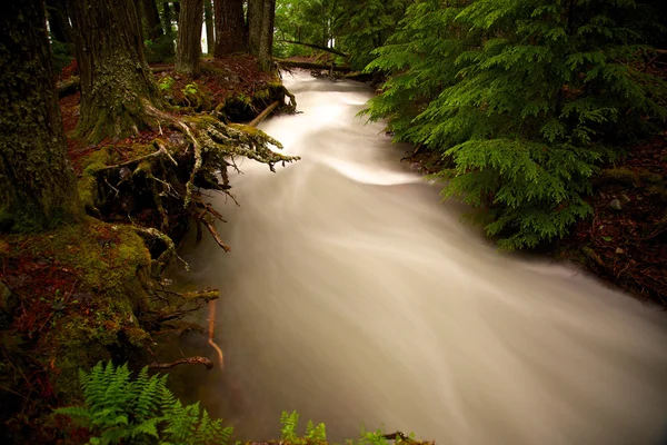 Fließender Bach im Wald — Stockfoto