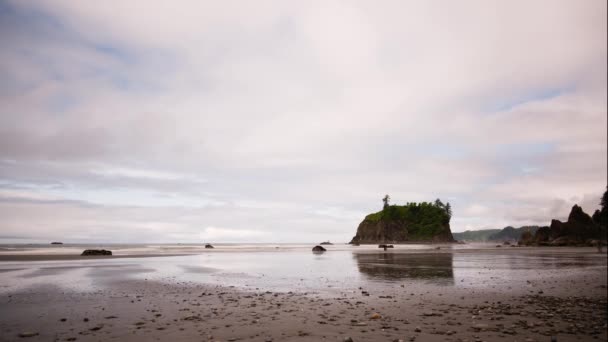 Plage de rubis à marée basse — Video