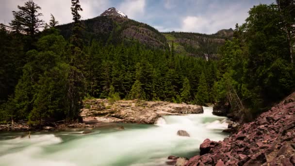 Fiume sul Montana — Video Stock