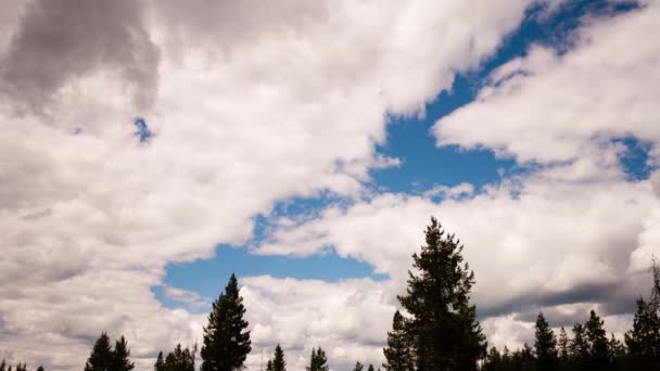 Mračna nad montana treeline — Stock video