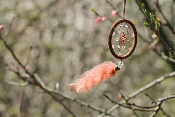 Şeftali dalında düş kapanı. Tılsım.