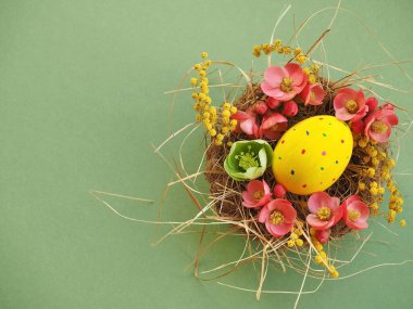 Yuvasında papatya çiçekleri olan ev yapımı Paskalya yumurtaları.