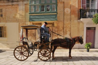 Old touristic carriage with brown horse on Valletta street, Malta