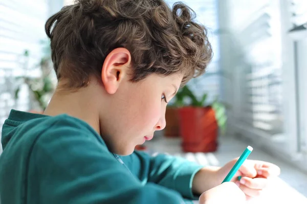 Lindo Niño Está Haciendo Tarea Aprendizaje Distancia Durante Una Pandemia —  Fotos de Stock