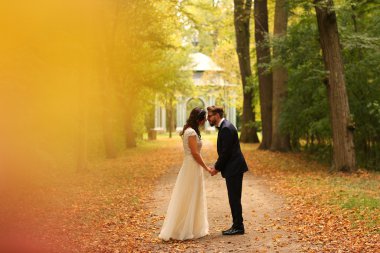 Güzel gelin çift ellerimi parkta