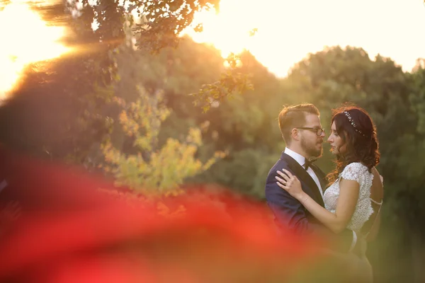 Joyful bridal couple embracing in the park — Stock Photo, Image