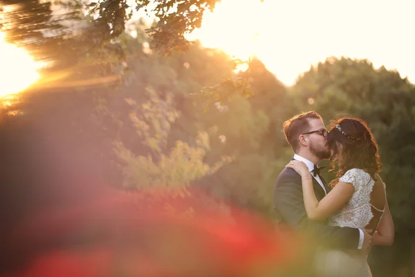 Veselé Svatební pár objímat v parku — Stock fotografie