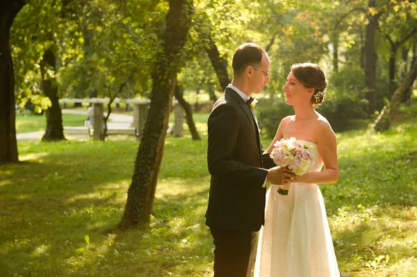 Beautiful bridal couple embracing in park — Stock Photo, Image