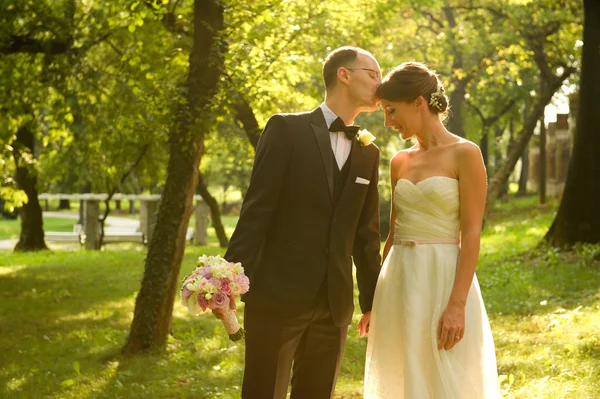 Beautiful bridal couple embracing in park — Stock Photo, Image