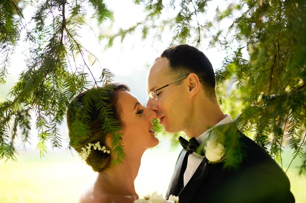 Beautiful bridal couple embracing in park — Stock Photo, Image