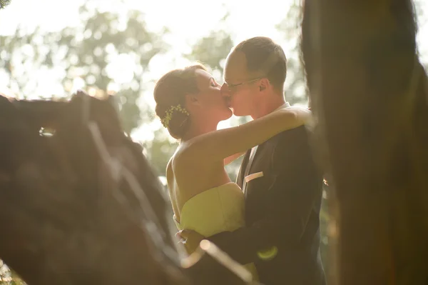 Beautiful bridal couple embracing in park — Stock Photo, Image