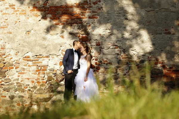 Beautiful bride and groom — Stock Photo, Image