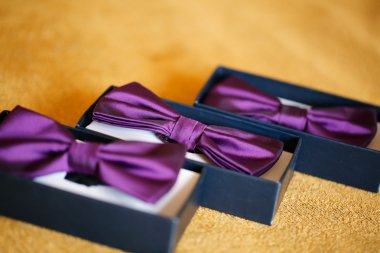 Damadın papyon küçük kutusunda