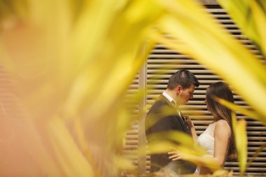 güzel gelin ve damat kucaklayan