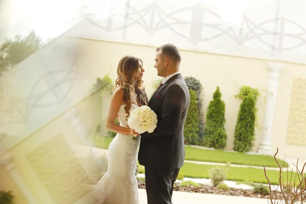 Beautiful bridal couple celebrating their wedding — Stock Photo, Image