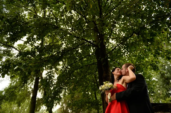 Bonita pareja amorosa de deshierbe — Foto de Stock