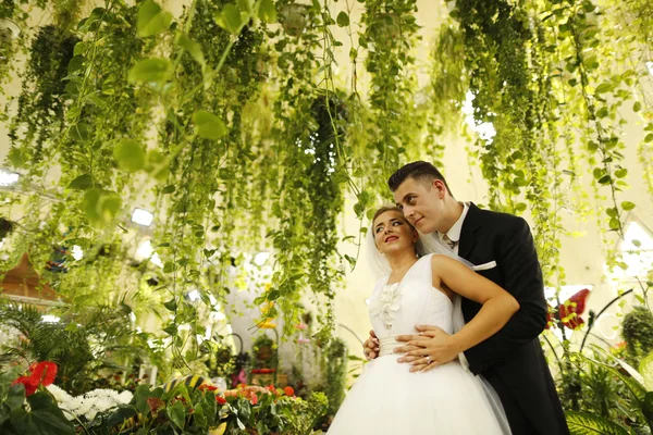 Mooie bruidsparen in de buurt van planten — Stockfoto