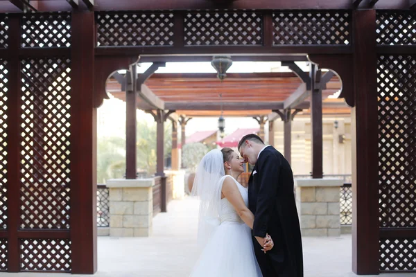 Schöne Bräutigame halten und küssen — Stockfoto