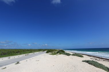 Güneşli bir günde güzel boş plaj
