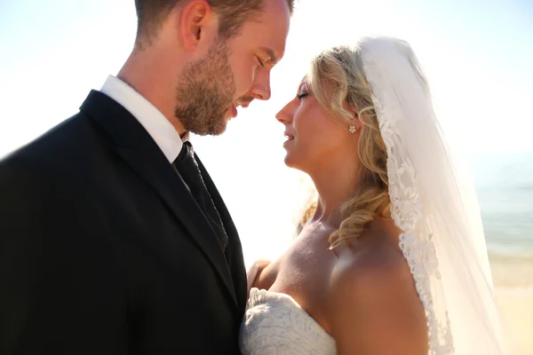 Lovely grooms holding each other — Stock Photo, Image