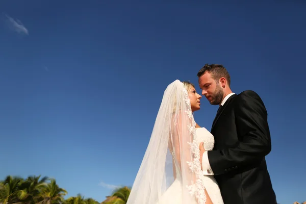 Liebliche Bräutigame halten einander — Stockfoto
