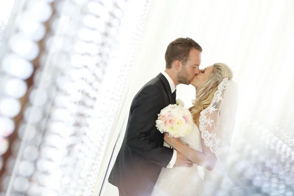 Lovely grooms kissing Stock Photo