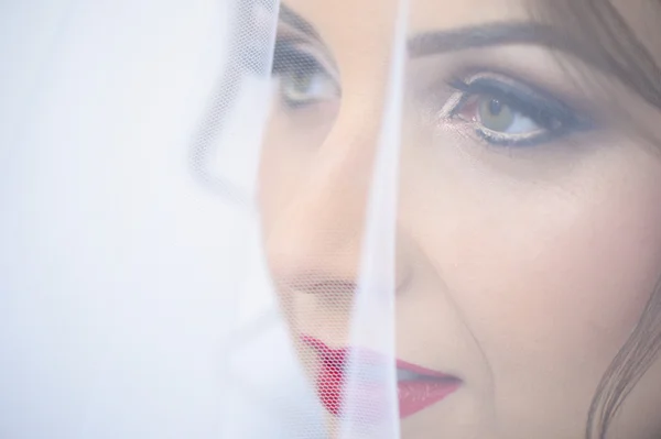 Beautiful bride with veil posing — Stock Photo, Image