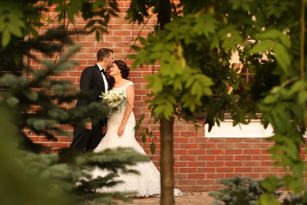 Beautiful bride and groom celebrating their wedding — Stock Photo, Image