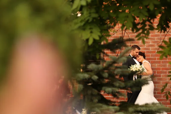 Braut und Bräutigam feiern ihre Hochzeit — Stockfoto