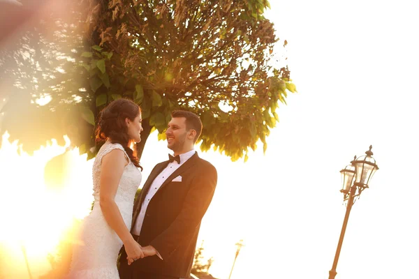 Belo casal nupcial abraçando ao ar livre ao entardecer — Fotografia de Stock