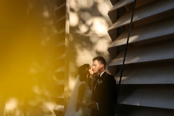 Charmant marié et mariée embrasser et tenir à l'extérieur — Photo