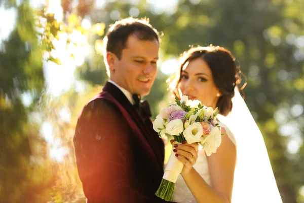 Lovely groom and bride kissing and holding outside — Stock Photo, Image