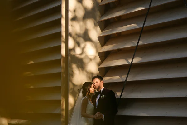 Lovely groom and bride kissing and holding outside — Stock Photo, Image